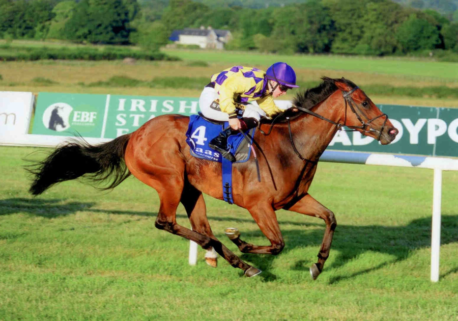 Vector Force Naas 23rd July 2014